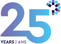 Vision Group 25 anniversary logo