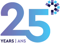 Vision Group 25 anniversary logo